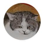 AI Cats (@ai_today)
