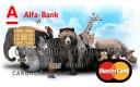 Alfa-Bank Cards