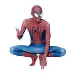 AliExpress-Spider-verse