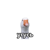Все,что надо