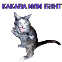 Алый бунт