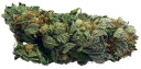 amnezia420