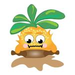 Ananas cooking school