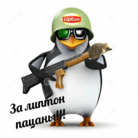 Анархо-липтонизм