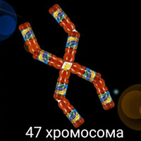 Анархо-липтонизм