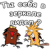 Крутые Бобры