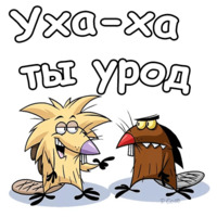 Крутые Бобры