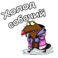 Крутые Бобры
