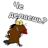Крутые Бобры