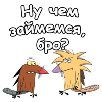Крутые Бобры