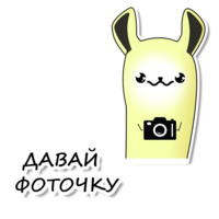 Лама