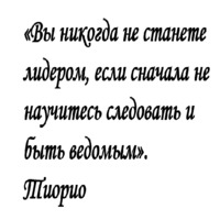 Цитаты