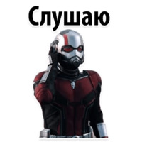 Человек-муравей и Оса