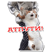Атпути