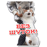 Атпути