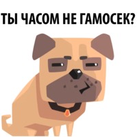 Злобный мопс