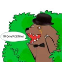 Медведь в кустах