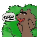 Медведь в кустах