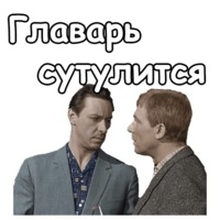 Берегись автомобиля