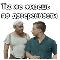 Берегись автомобиля