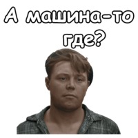 Берегись автомобиля