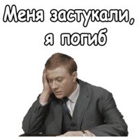 Берегись автомобиля