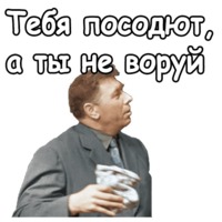 Берегись автомобиля