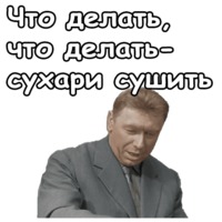 Берегись автомобиля