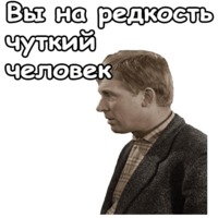 Берегись автомобиля