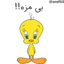 @Aref44