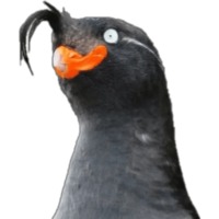 Птицы