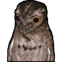 Птицы
