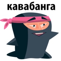 Чёрный Ниндзя
