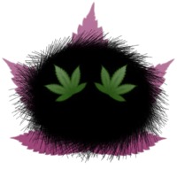 Черная Букашка