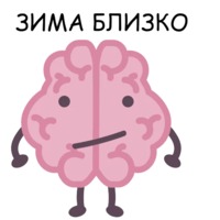 Мозг