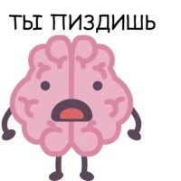 Мозг