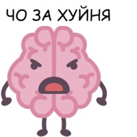 Мозг
