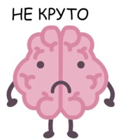 Мозг