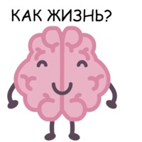 Мозг