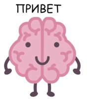 Мозг