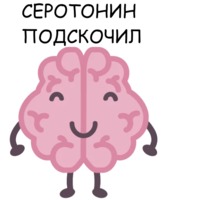Мозг