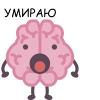 Мозг