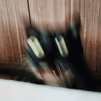 Сломанные коты