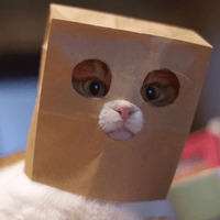 Сломанные коты
