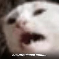 Сломанные коты