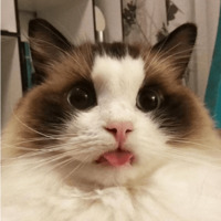 Сломанные коты
