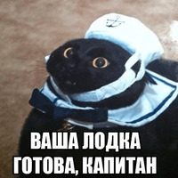 Сломанные коты