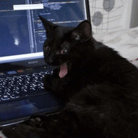 Сломанные коты