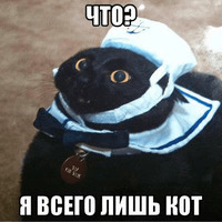 Сломанные коты