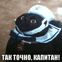 Сломанные коты